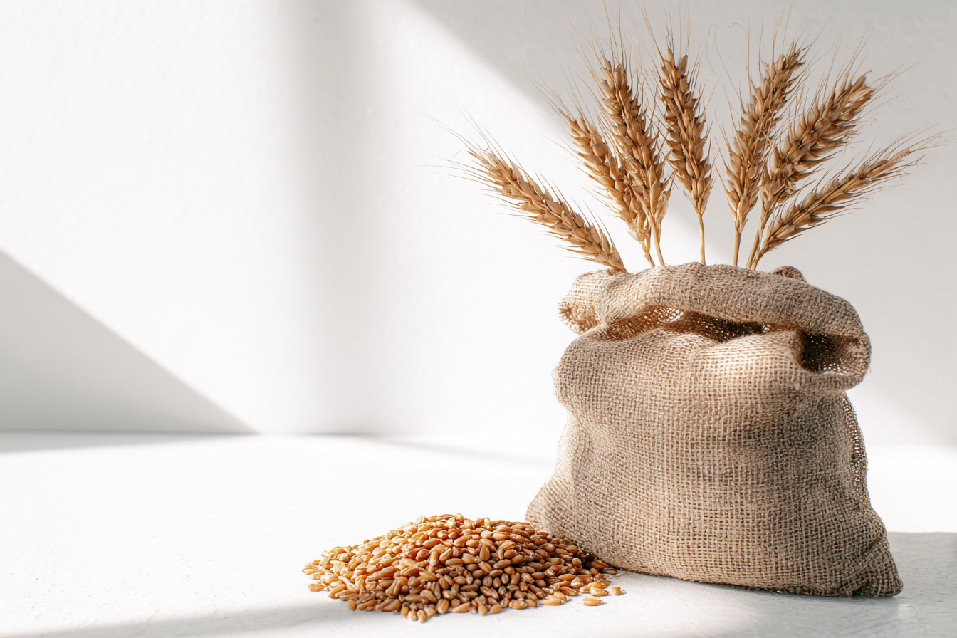 Feed Wheat